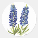 Search for texas bluebonnets stickers Lone star state