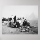 Search for camel posters White