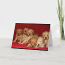 Search for goldendoodle cards Thinking of you