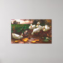 Search for drake canvas prints Bird