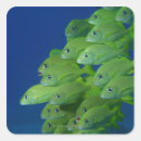 Search for topical stickers Animal