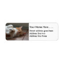 Search for resting return address labels Cute