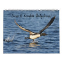 Search for loons photography Wildlife