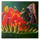 Search for butterfly tiles Wildlife