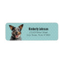 Search for cattle dog return address labels Blue