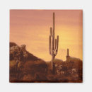 Search for sonoran magnets Arizona