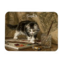 Search for rooms magnets For kids