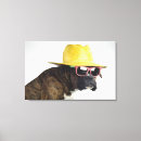 Search for boxer dog canvas prints Studio shot
