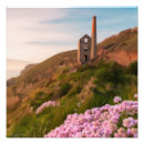 Search for agnes posters Cornwall