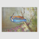 Search for kingfish Vintage