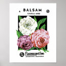 Search for balsam art Vintage