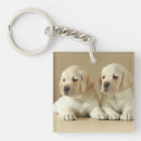Search for golden labrador key rings Pet