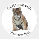 Search for tiger baby stickers Snow