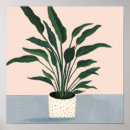 Search for houseplants posters Botanical
