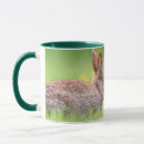 Search for cottontail rabbit mugs Springtime