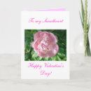 Search for ladybug valentines day cards Insect