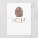 Search for conifers invitations Nature