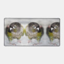 Search for conures mouse mats Bird