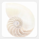 Search for spiral shell stickers Animal
