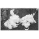 Search for black and white abstract tablecloths Shape