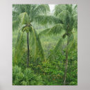 Search for rainforest posters Nature