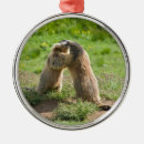 Search for prairie dog christmas tree decorations Marmots