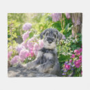 Search for schnauzer blankets Cute