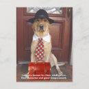 Search for trait Dog lover