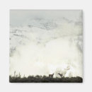 Search for grand teton national park magnets Nature