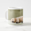 Search for golden retriever puppy mugs Cute baby animal