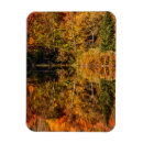 Search for pond reflection magnets Tree