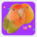 Search for bird face stickers Birds
