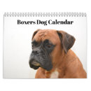 Search for rescue calendars 2026