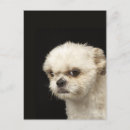 Search for anger vertical postcards Nature