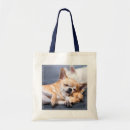 Search for red haired bags Dog