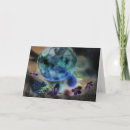 Search for object cards Photography