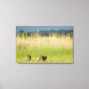 Search for cat tail art Animal