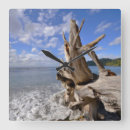 Search for driftwood clocks Sand