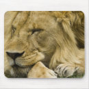 Search for game reserve mouse mats Animal