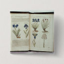 Search for elizabethan badges 16th