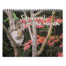 Search for funny squirrel calendars Nature