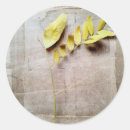 Search for v stickers Collection
