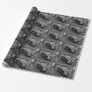 Search for chevrolet gift wrap Vintage
