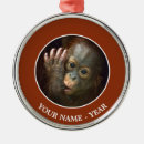 Search for orangutan christmas tree decorations Outdoors