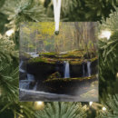 Search for smoky mountain christmas tree decorations Autumn