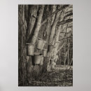 Search for maple syrup posters Tree