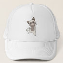 Search for kitty hats Pet