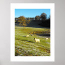 Search for farm animals birthday posters Sheep