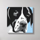 Search for black pointer Pets