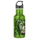 Search for bull water bottles Terrier